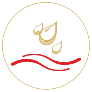 araiwsh icon